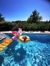 Magnifique Gite En Pierres 6 Personnes Avec Piscine Privee Ardeche Plein Sud - Image 4