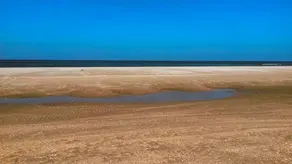 Vitamin Sea - Image 5