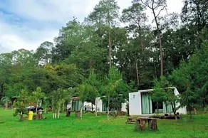 Cabana en el bosque en Acaxochitlan - Image 2