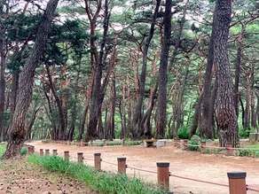 Fresh Hill - Image 3