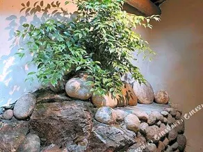 Laodifang Qixian Shuyuan - Image 5