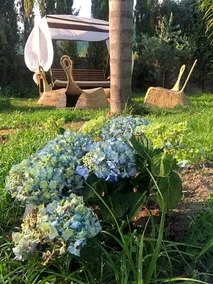B&B Da Paco - Image 3