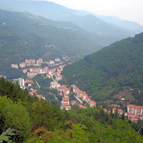 Forest Spring - Image 2