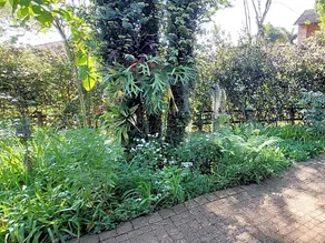 Palmetta Cottage - Image 4