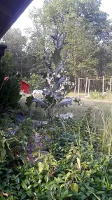 Lesna Chata - Image 2