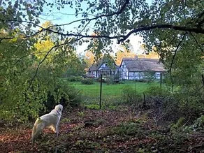 THE FORESTERS HOUSE- Idyllic tranquility- NON SMOKERS ONLY - Image 2