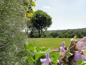 Longère Ville Voisin - chambre d'hôte - Image 3