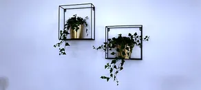 Klein Java - Image 4