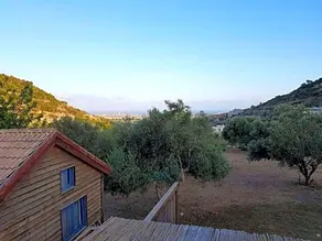 Garden And Sea - Image 4