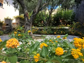 Al Poggio Luxury Rooms - Image 2