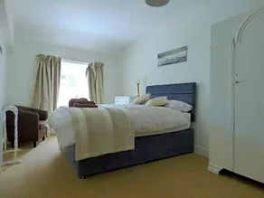 The Lion - Image 4