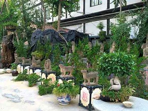 Qingcheng Ruyi Hotel - Image 5