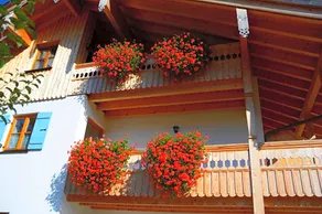 Gastehaus Wild-Schutz - Image 4
