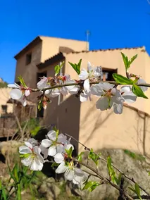Refugi De Muntanya Els Masets - Image 5