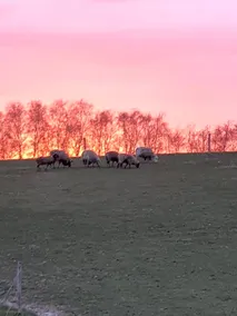 Lysbjerg - Tid til Nydelse - Image 3