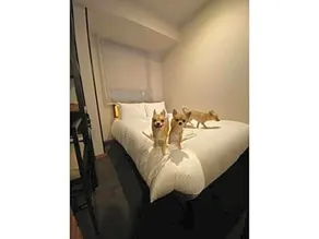 ICI HOTEL Asakusabashi - Vacation STAY 69309v - Image 2