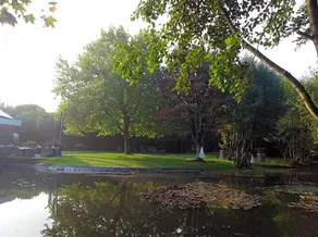 Paradiso Park - Image 3