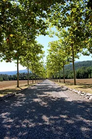 Domaine de la Citerne - Image 2