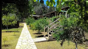 Olympos Angels Garden - Image 2