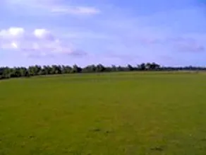 South Moor Farm - Image 2