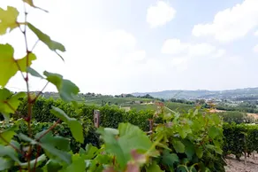 B&B Da Laura E Aldo - Image 3