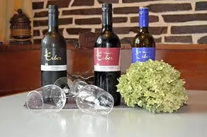 Gasthaus Wurlitzer - Image 5