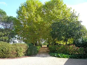 Mas Massicq - Image 4