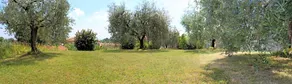 B&B Drusilla Garden - Image 4