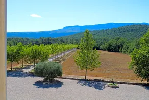 Domaine de la Citerne - Image 3
