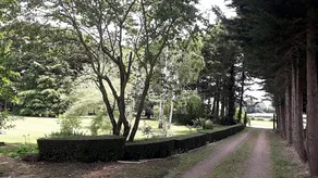 Les Terrasses - Image 2