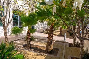 Hotel Siena - Image 2