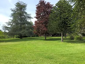 Villa chambre - Image 3