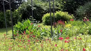 Bed & Breakfast la Madeleine - Image 5