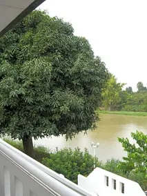 เรือนสุพรรณริเวอร์ไซด์ รีสอร์ต - Image 3