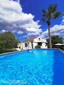 B&B Il Pasha - Image 4