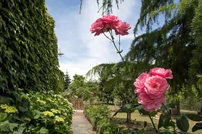 Casa De D�az - Image 3