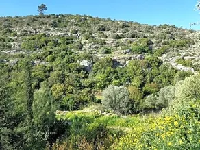 Garden And Sea - Image 3