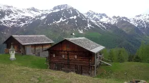 Kamelisenalm Alois Mair - Image 4