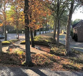 B&B De Roode Leeuw - Image 2