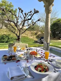 Tree of Life - Resort & Spa Jaipur - Image 5