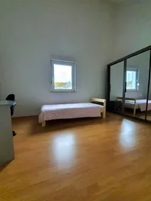 Vivacity - Image 4