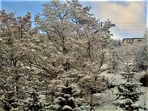 Hotel Acropolis Metsovo - Image 5