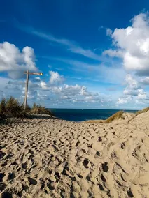 BzB Bij Gea Op Texel - Image 3