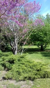 Bed & Breakfast la Madeleine - Image 3