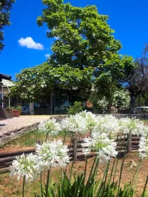 I congiunti - Image 2