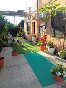 B B Casa Vacanze Il Pino Di Pino - Image 3