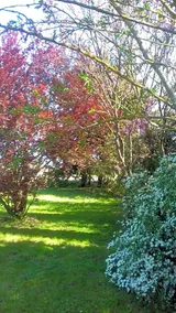 Bed & Breakfast la Madeleine - Image 2