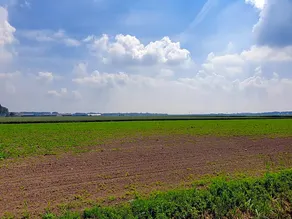 de Hoeksche Loods B&B - Image 2