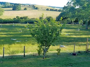 The cosy hut - Image 2