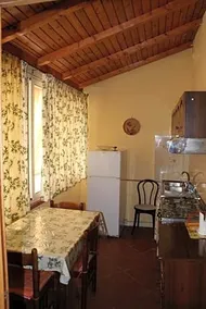 Il Cactus - Image 3